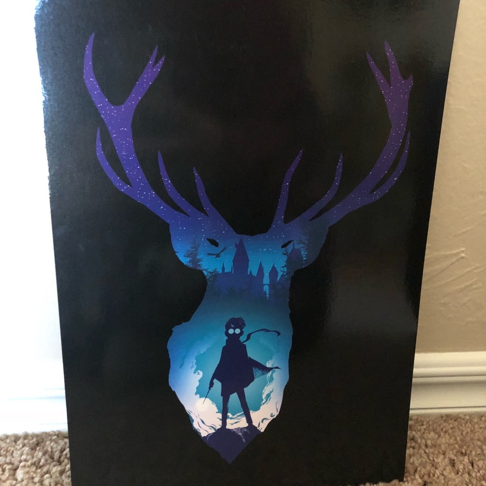 Harry Potter Print